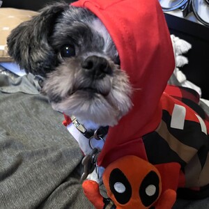 Fundraising Page: Danielle Phillips